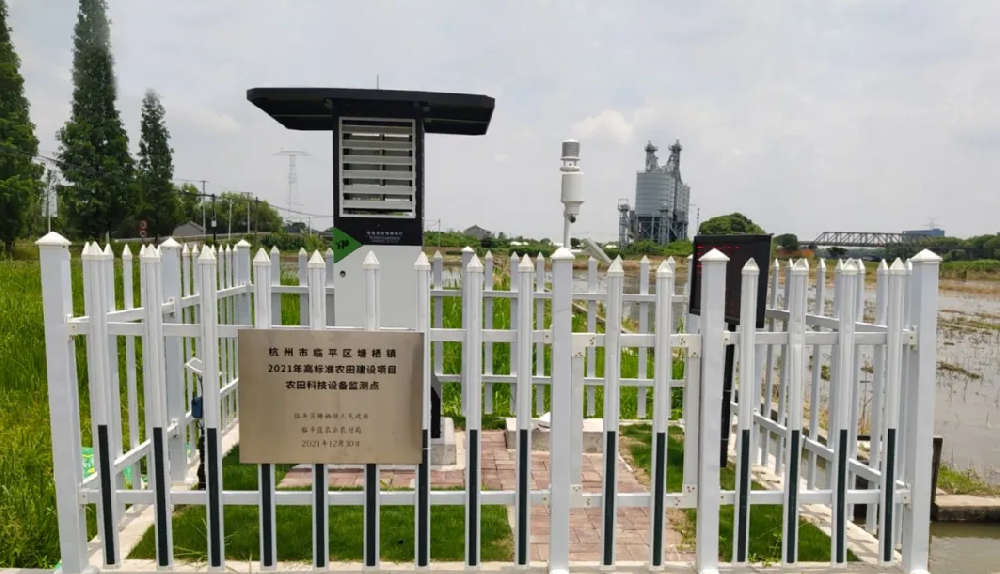 聽說，現在流行這樣種田