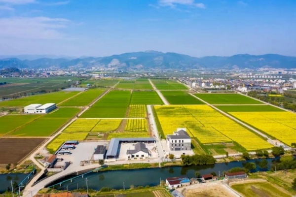 托普云農高標準農田建設答卷：用實踐書寫政策新篇